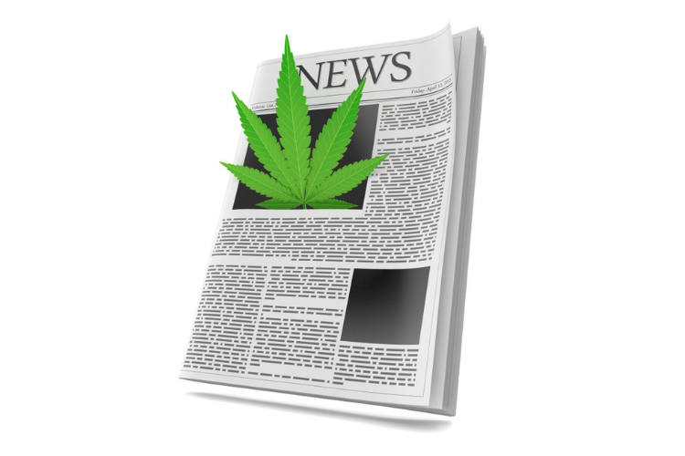 link building for cannabis dispensaries 2