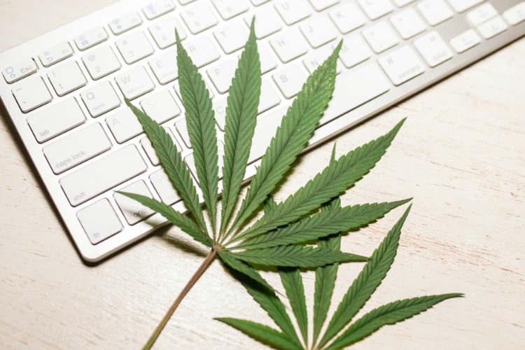Dispensary Advertising keyboard with cannabis leaves