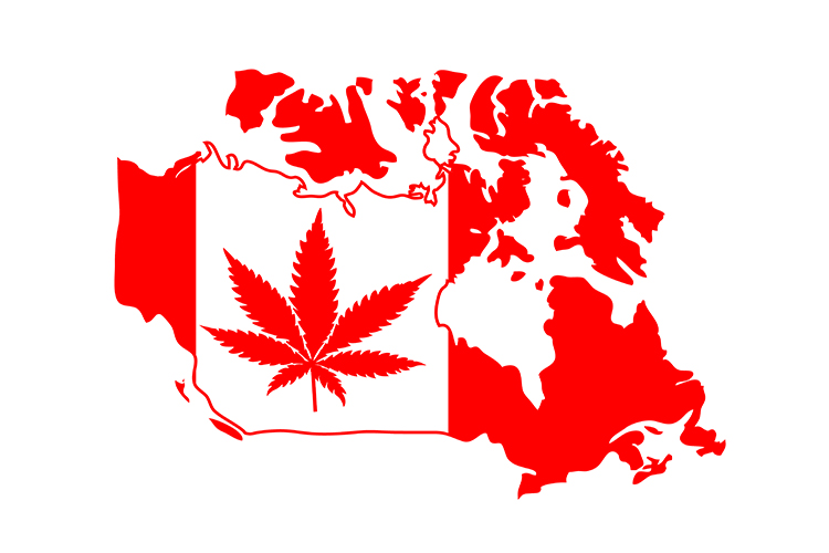 Cannabis News Canada 2