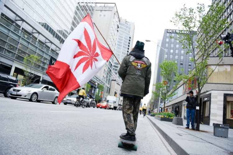 Cannabis News Canada 3