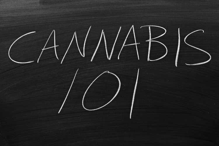 Cannabis education 101 on blackboard