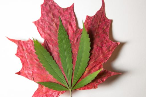 How to Market Your Dispensary in Canada
