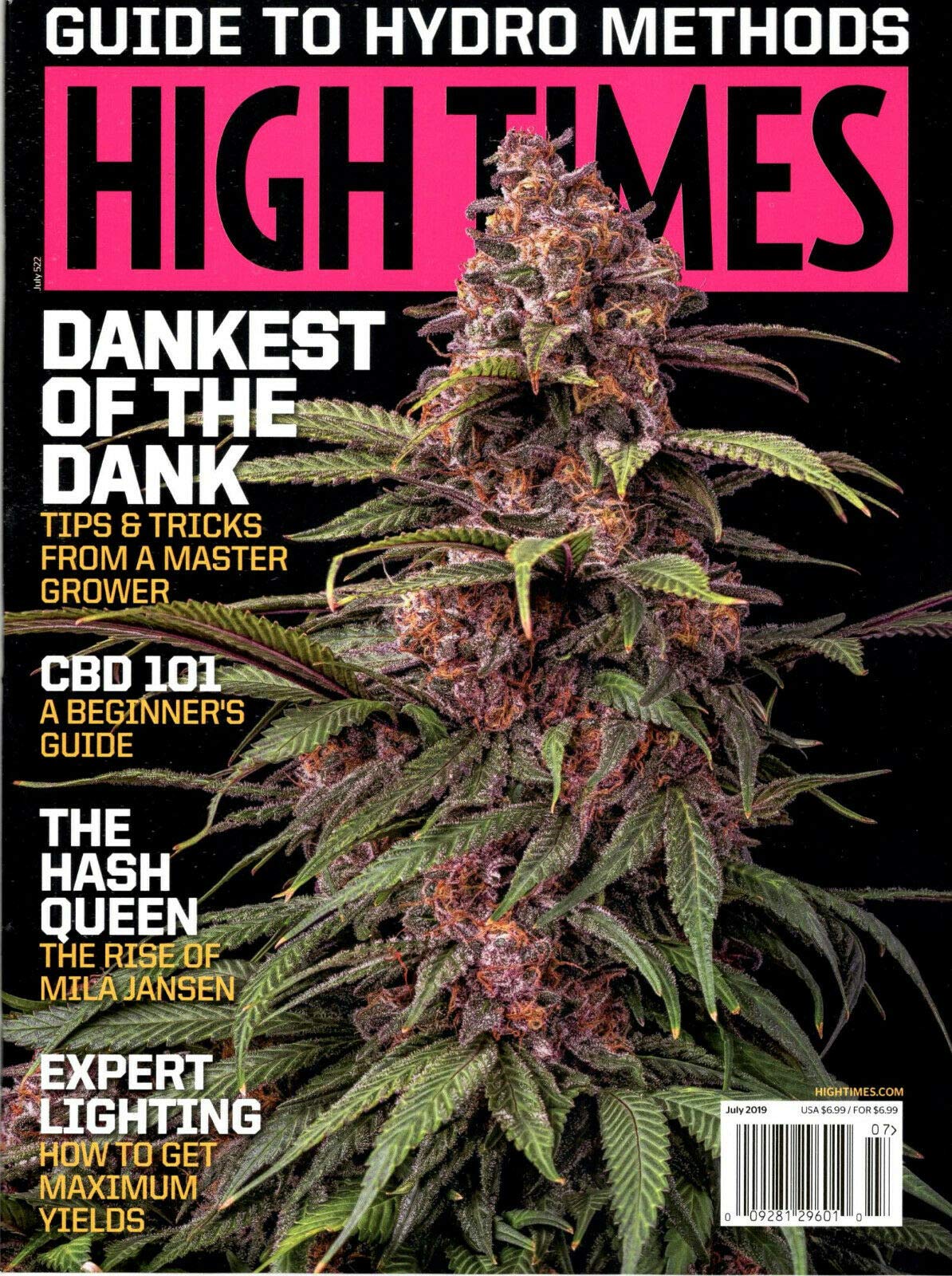 high times cannabis publication