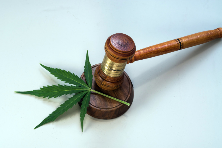 Cannabis Legalization 2